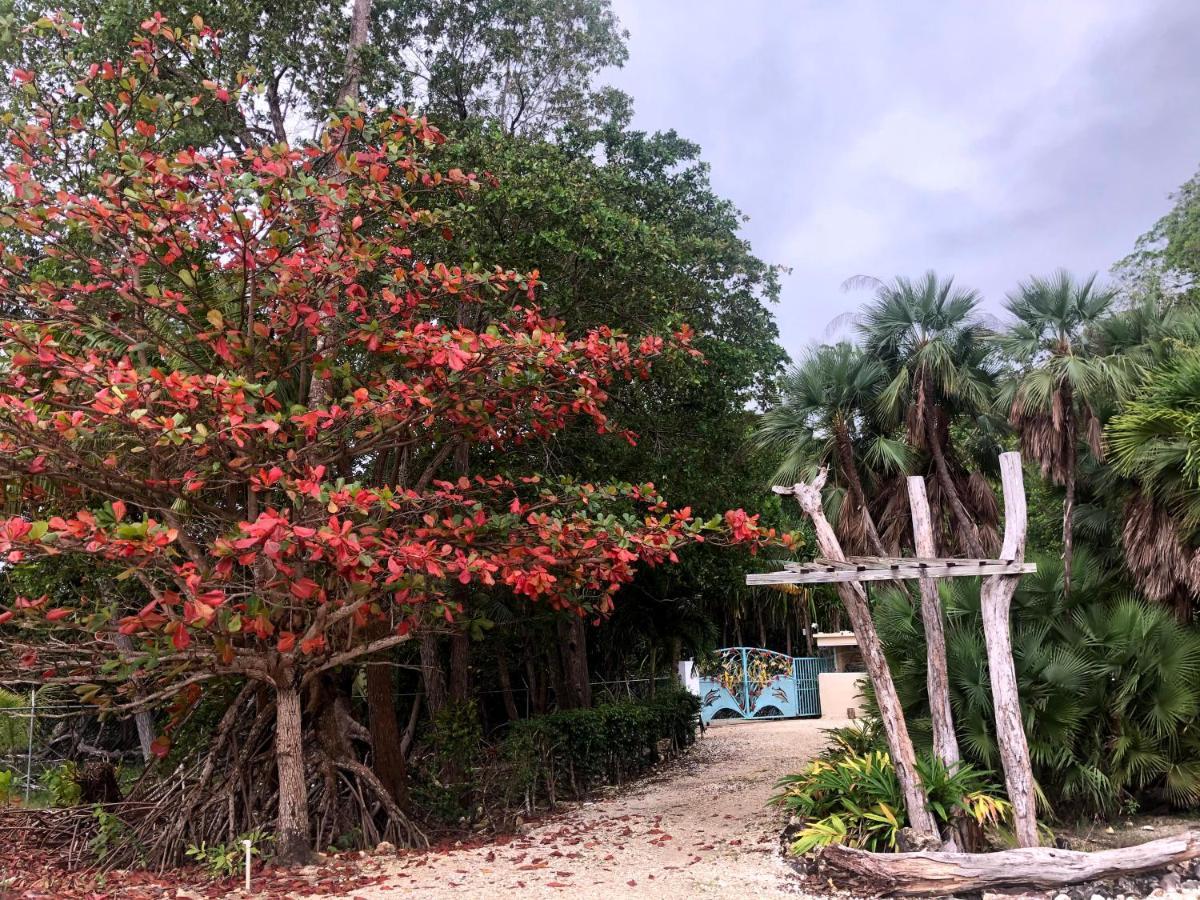 Seaside Chateau Resort Belize City Eksteriør billede